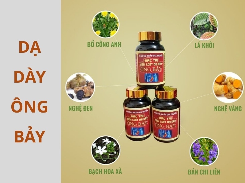 Những thành phần chính trong dạ dày ông bảy